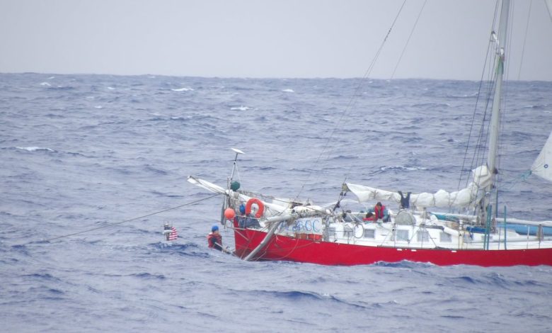 Coast Guard, Navy save mother, child, cat, tortoise stranded at sea