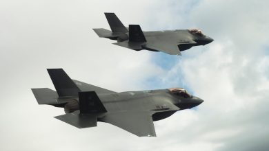 US Air Force plans to bed down 25 F-35s in FY26, report says