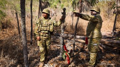 Australian Army to grow, diversify its drone fleet