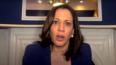 Why Kamala Harris Lost – The Truth About Guns