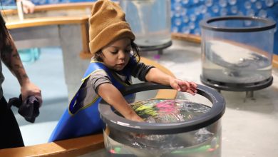 First-ever children’s museum on a military base gets top service award