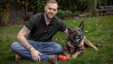 Army dog handler reunites with bomb-sniffing  buddy after years apart