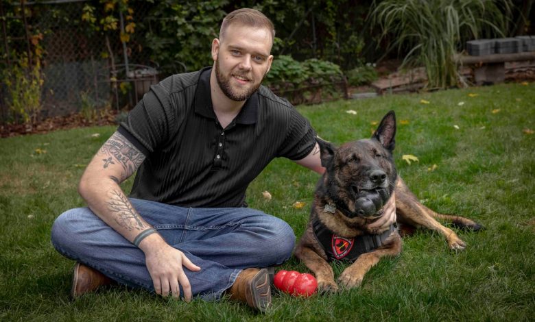 Army dog handler reunites with bomb-sniffing  buddy after years apart