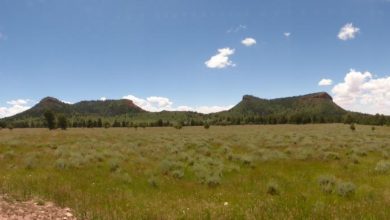 Biden-Harris Action Seeks to Close Shooting Access on 1.3 Million Acres of Public Land in Utah