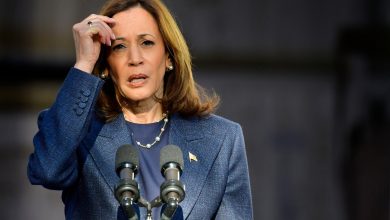 At a Loss: Voters Still Have No Idea What Harris Stands For, Neither Does She