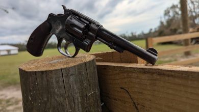 Obscure Object of Desire – S&W Regulation Police .32 S&W Long