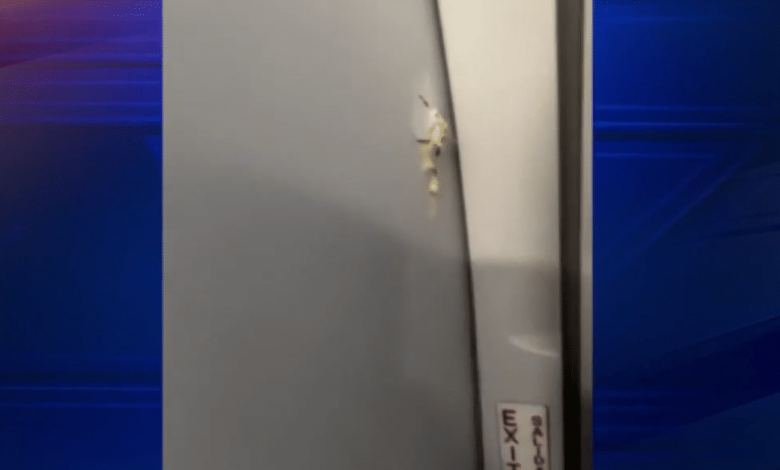 VIDEO: Spirit Airlines Flight Struck By Multiple Bullets, Immediately Diverts To Different Airport