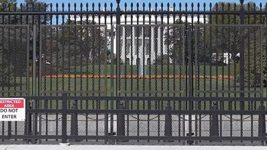 National Guard On Standby In Numerous Areas, Riot Fences Installed In D.C. & At Vice President’s Residence Ahead Of Election