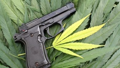 Pennsylvania District Attorney Suing To Allow Medical Marijuana Users Firearms Access