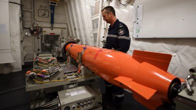 French, Turkish naval companies tinker with torpedo interceptors