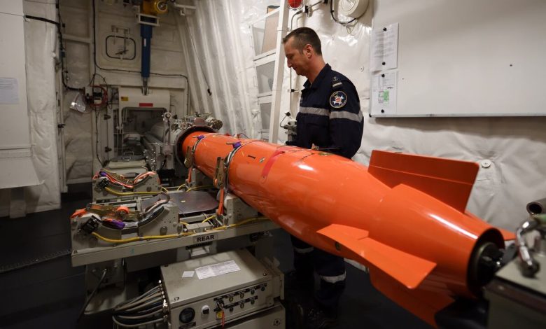 French, Turkish naval companies tinker with torpedo interceptors