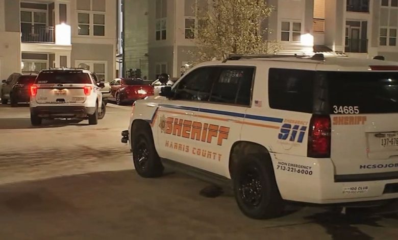 25-Year-Old Shoots Three Armed Boys, Ages 12 to 15, During Christmas Eve Robbery Attempt in Harris County, TX