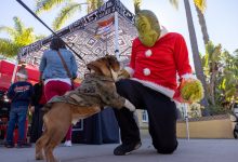 From Grinch greetings to Santa sightings, the holidays come to troops