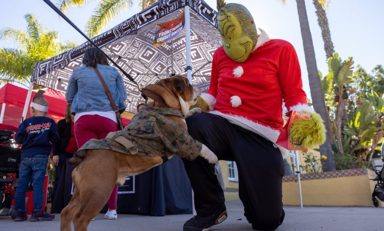 From Grinch greetings to Santa sightings, the holidays come to troops