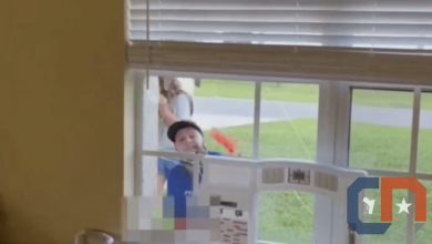 Graphic Warning: Man Punches Through Window, Doesn’t End Well For Him