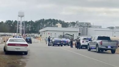 Fired Employee Retrieves AR-15, Stopped by Armed Security Before Entering Mississippi Chicken-Processing Plant