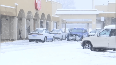 Frayser Grocery Store Manager Shoots Armed Shoplifter During Snowstorm