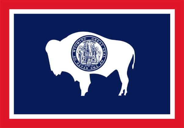 8 Wyoming Reps Seek To Gut 2A Protection Law