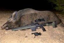 Is Hunting With a Thermal Scope Legal in Your State?