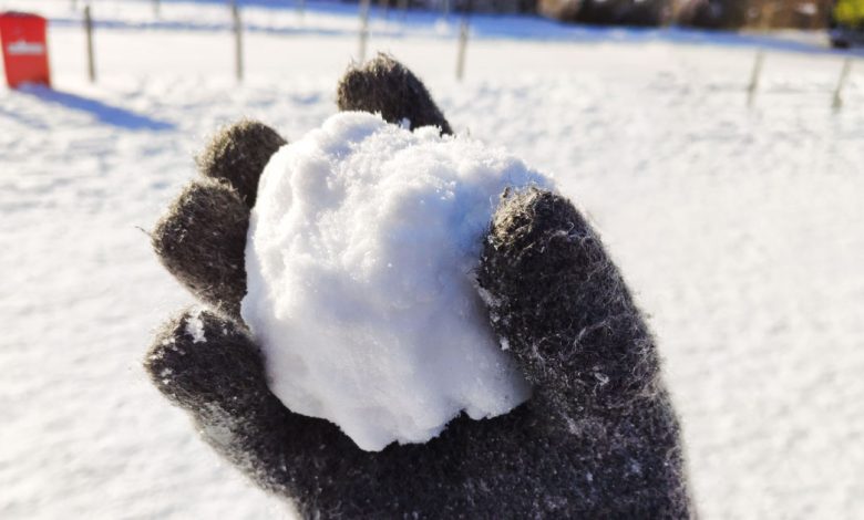 NY Man Claims Self-Defense After Deadly Shooting Over Alleged Snowball Incident